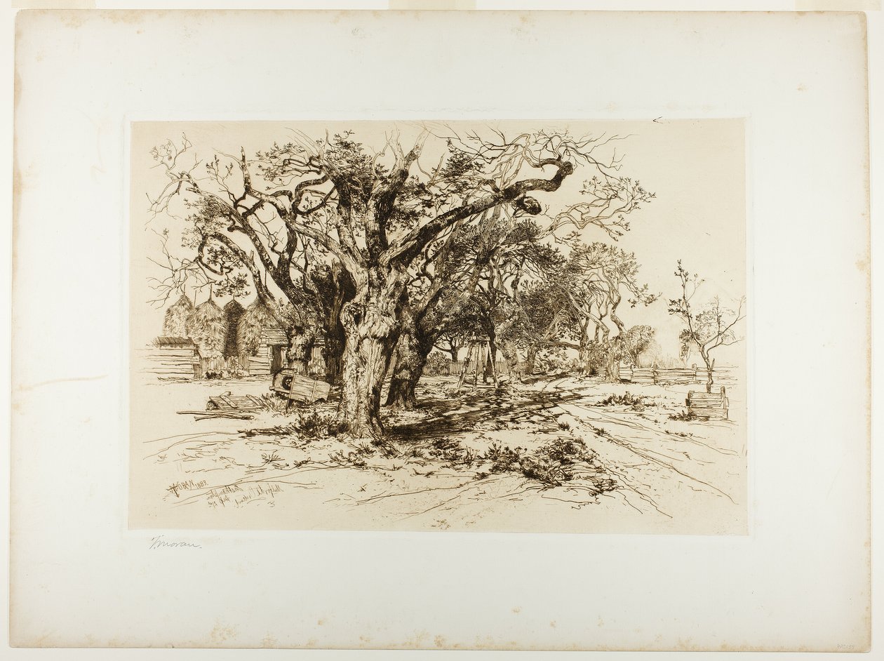 Frutteto di Mulford, Easthampton da Thomas Moran