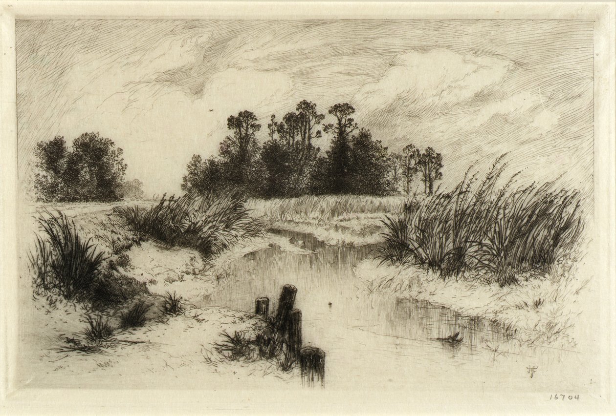 Vicino a Easthampton, L.I. (Passaic Meadows) da Thomas Moran