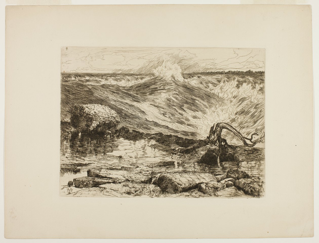 Le rapide sopra il Niagara da Thomas Moran