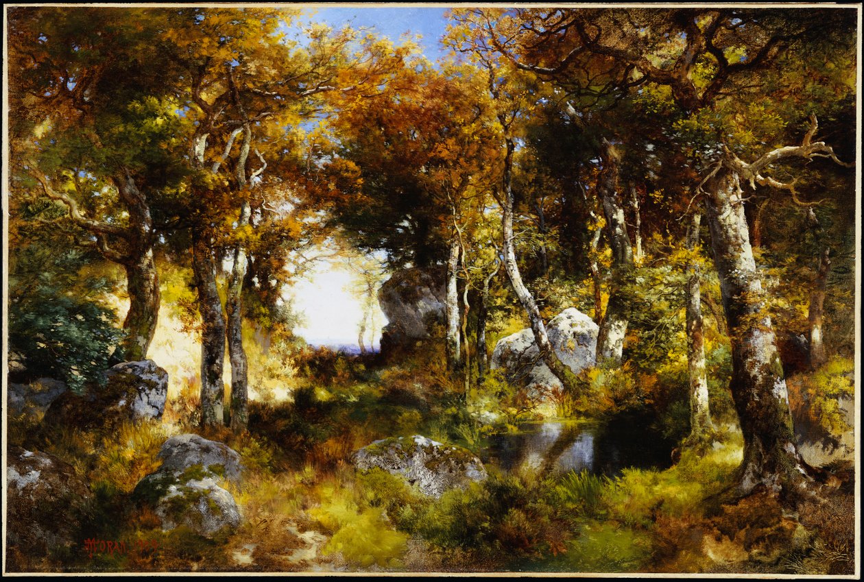La pozza nel bosco, 1909 da Thomas Moran