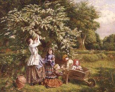 Raccolta di fiori di maggio da Thomas P. Hall