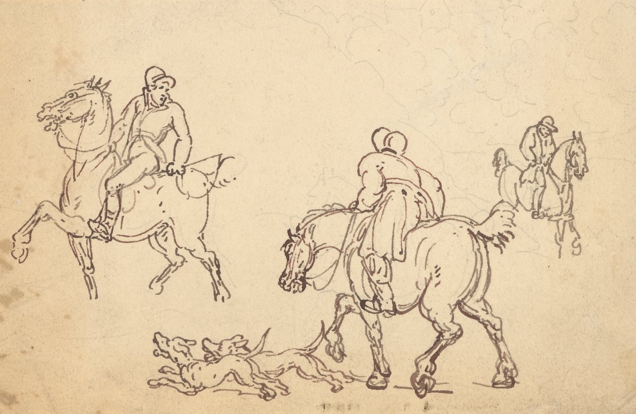 Disegno dell