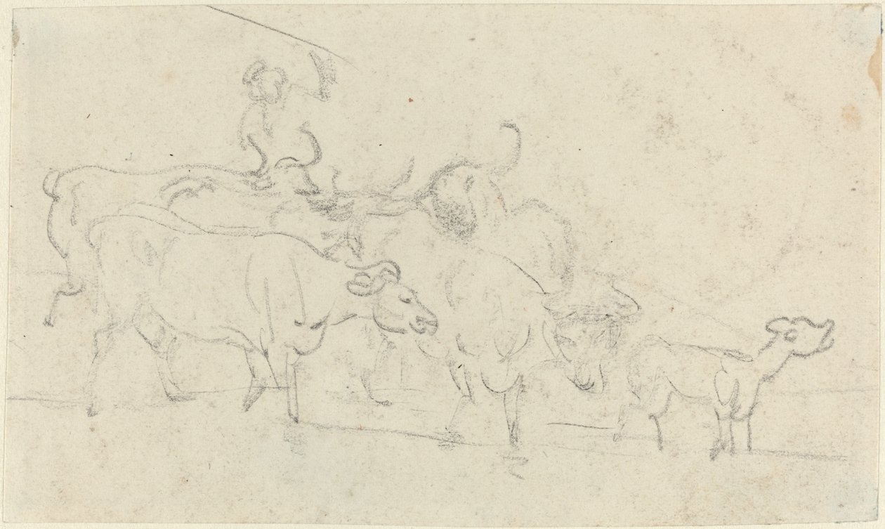Bovini da Thomas Rowlandson