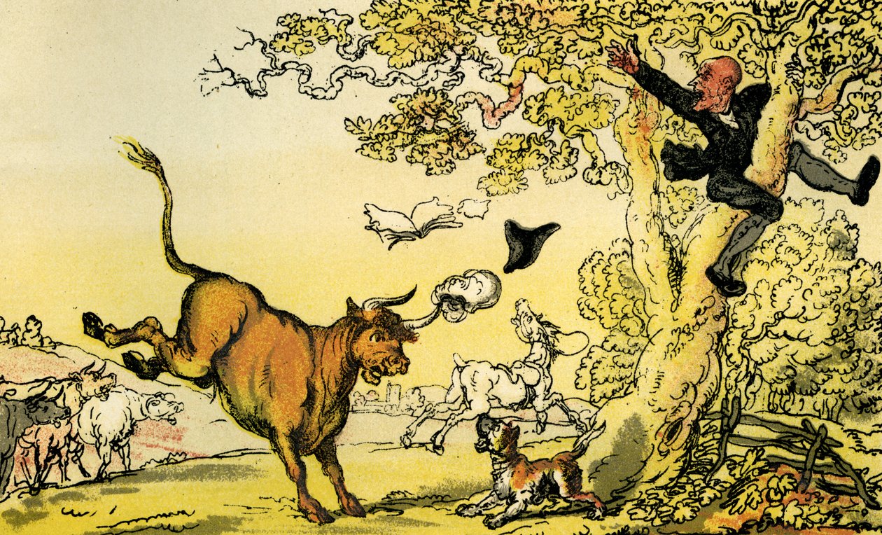 Il dottor Syntax inseguito da un toro da Thomas Rowlandson