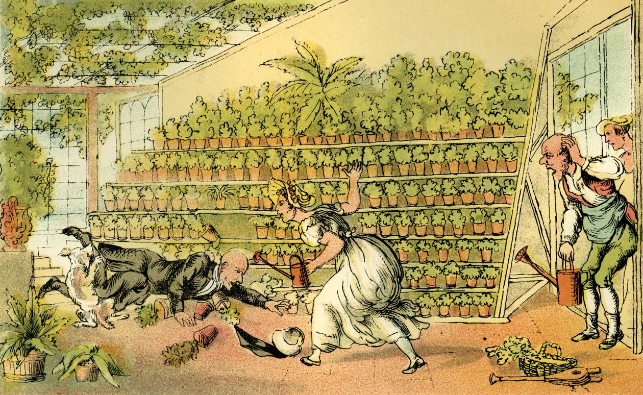 Disgrazia a Tulip Hall da Thomas Rowlandson
