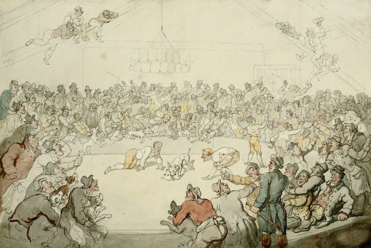 Il Westminster Pitt, 1798 da Thomas Rowlandson