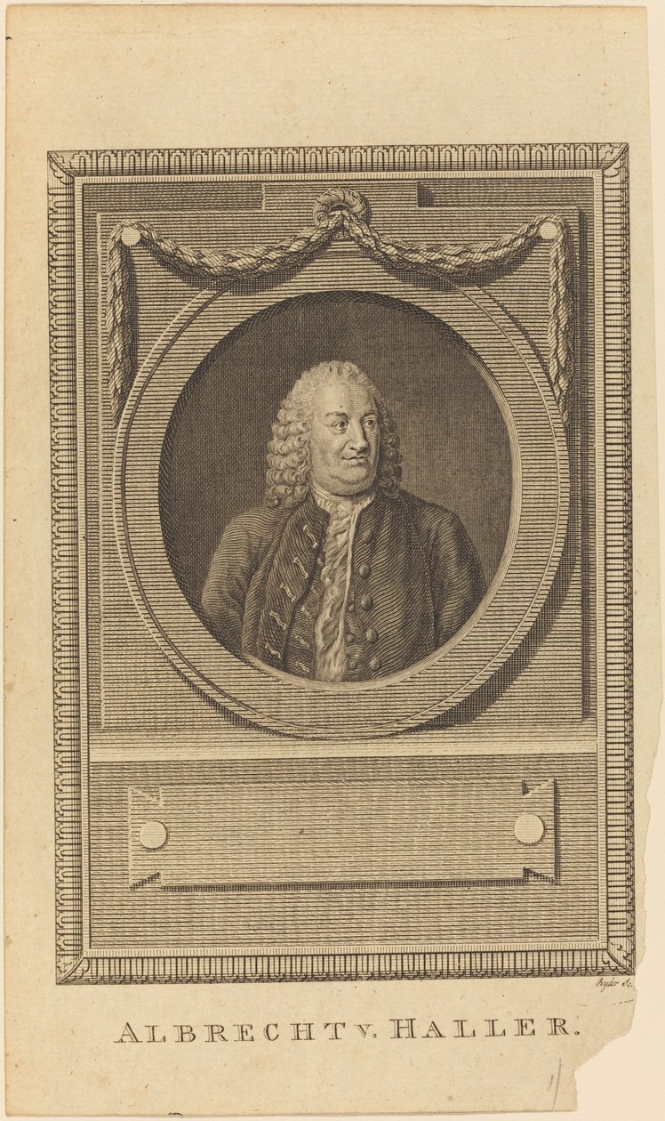 Albrecht V. Haller da Thomas Ryder