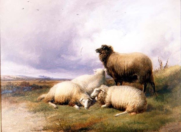 Pecore in un paesaggio da Thomas Sidney Cooper