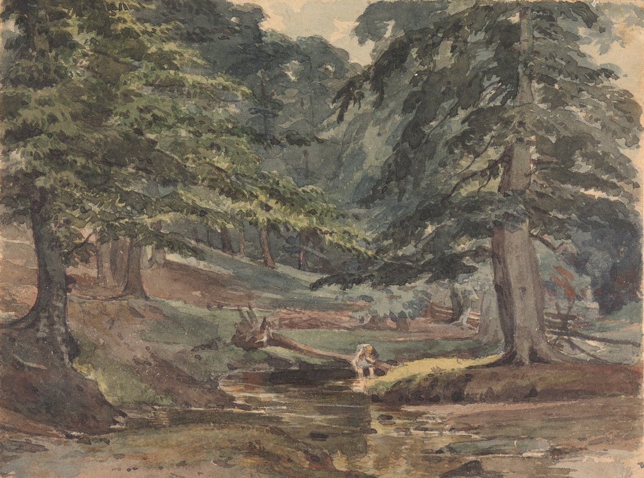 Scena fluviale boscosa da Thomas Sully