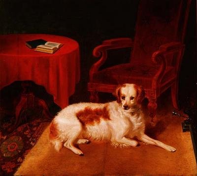 Aspettando il padrone da Thomas W. King