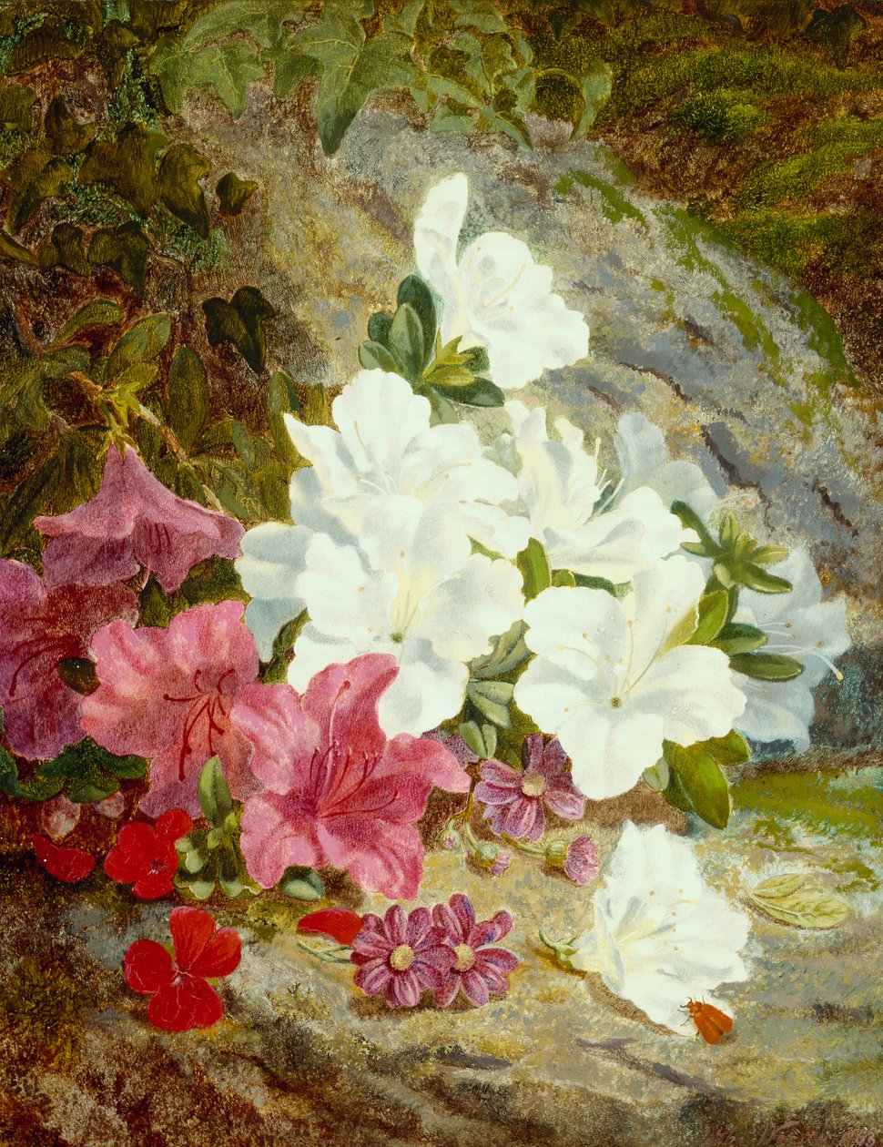 Azalee da Thomas Worsey