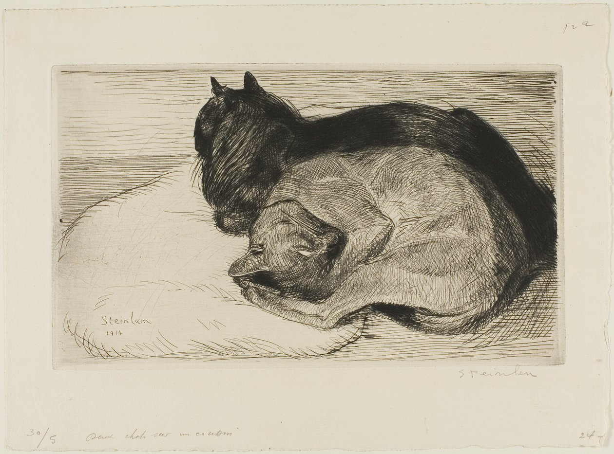 Due gatti su un cuscino da Théophile Alexandre Pierre Steinlen