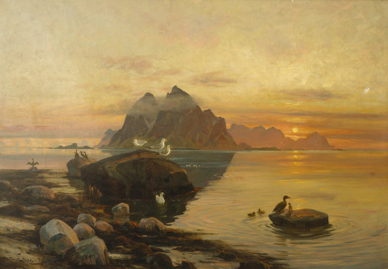 Vita degli uccelli da Thorolf Holmboe