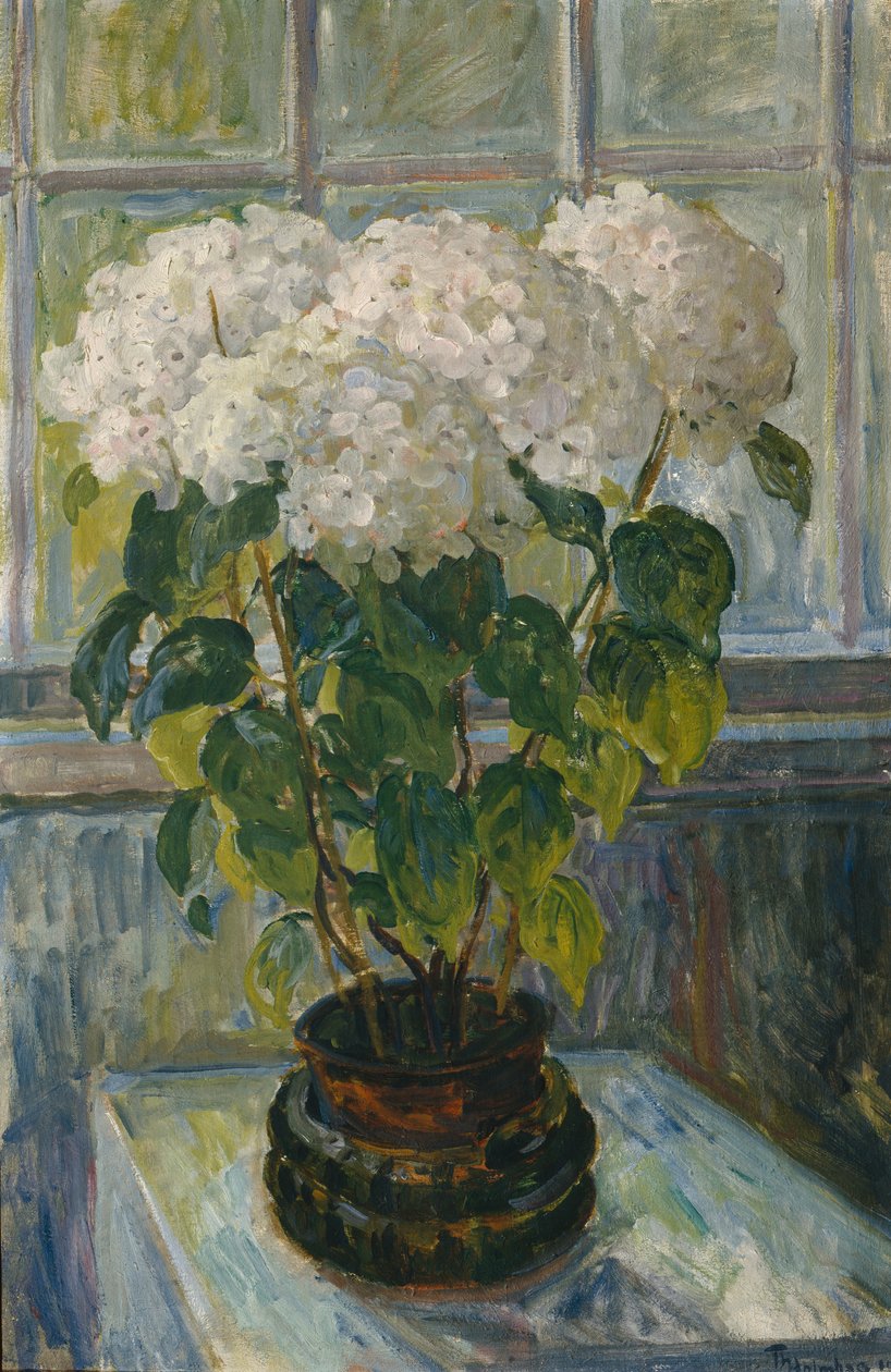 Ortensia da Thorolf Holmboe