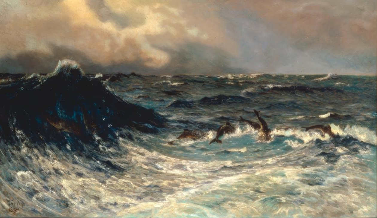 Mare mosso con delfini da Thorvald Niss