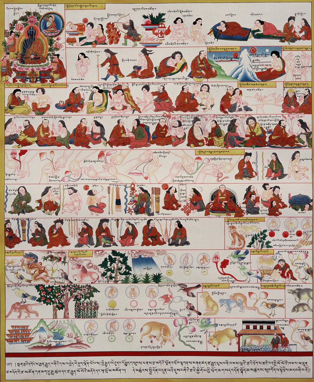 Manoscritto sulla medicina tibetana da Tibetan School