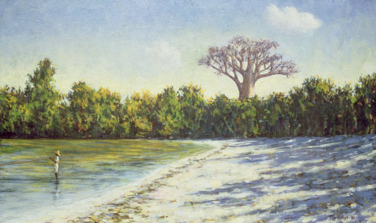 Pesca in Africa, 1996 da Tilly Willis