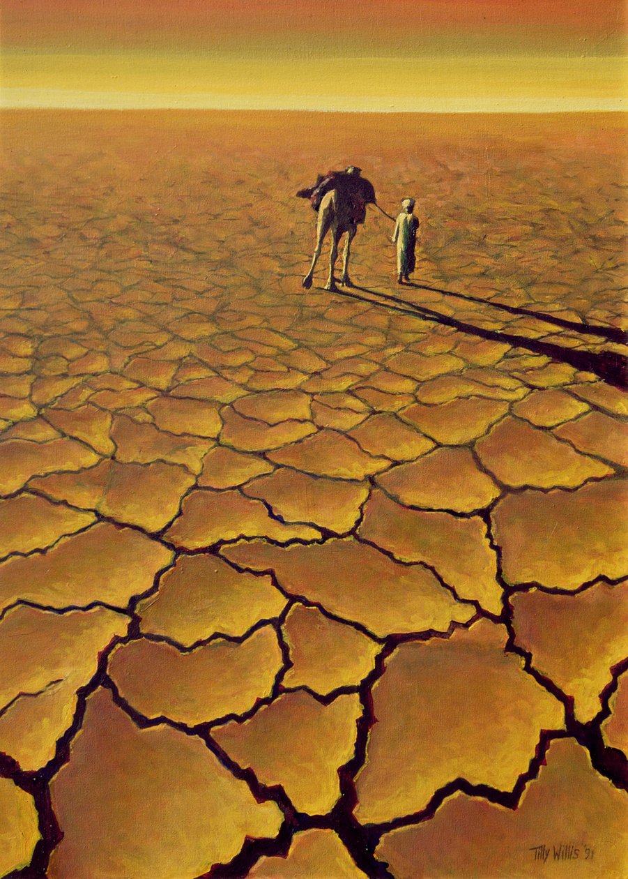 Viaggio nel Sahara, 1995 da Tilly Willis