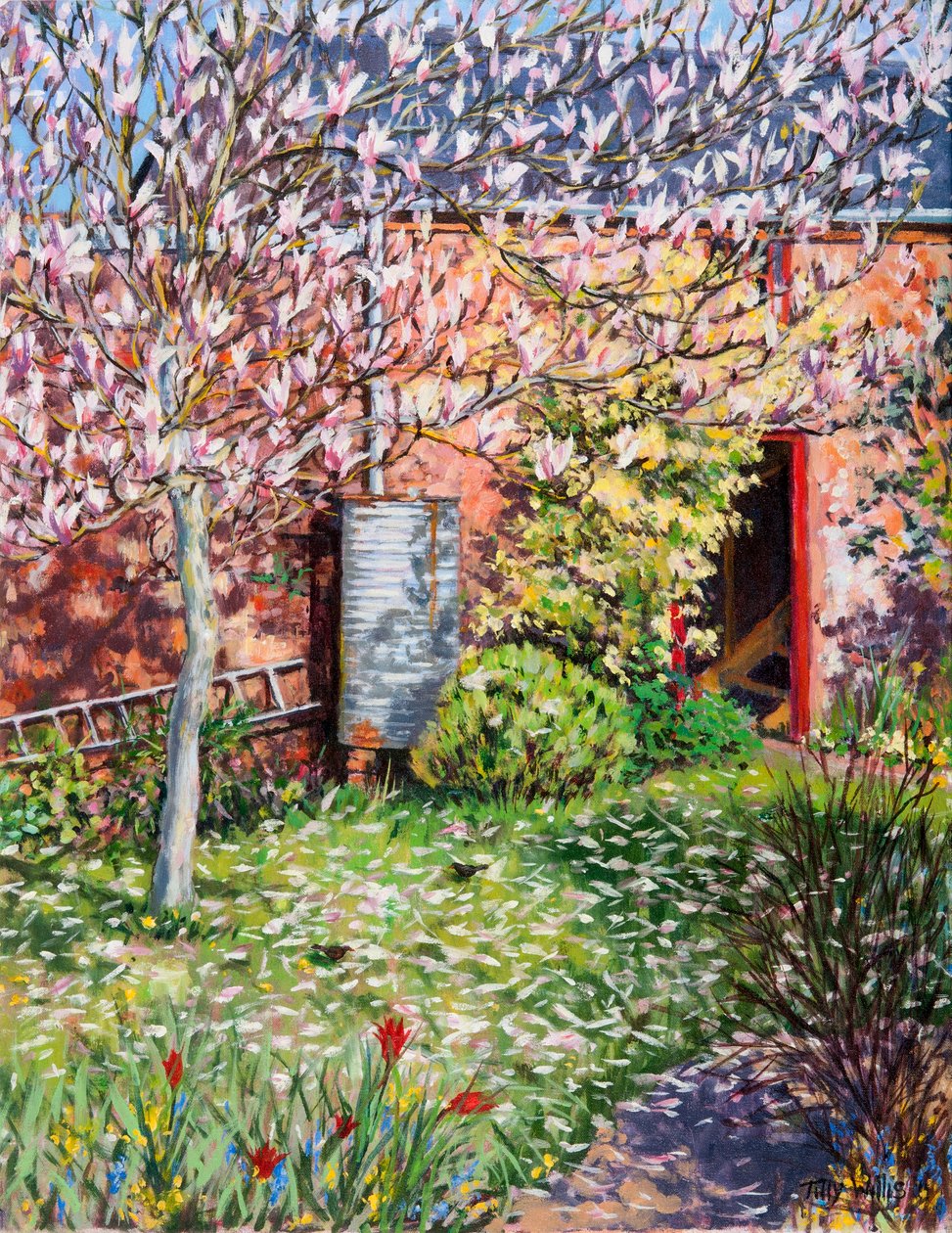 Sotto la magnolia da Tilly Willis