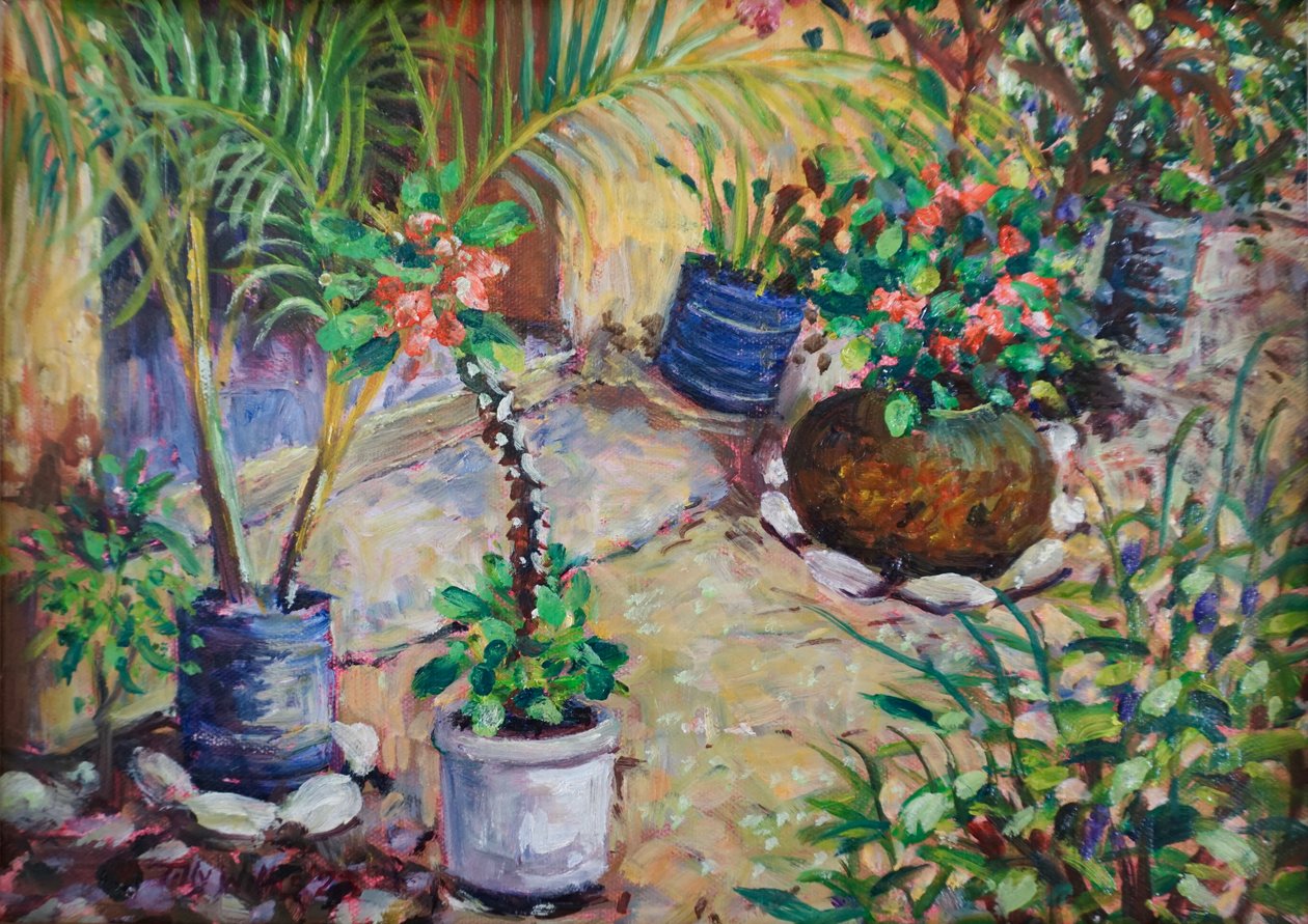 Piante in vaso africane, 2023 da Tilly Willis