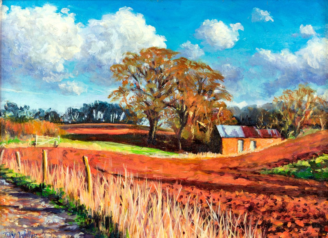 Fienile di campagna, 2014 da Tilly Willis