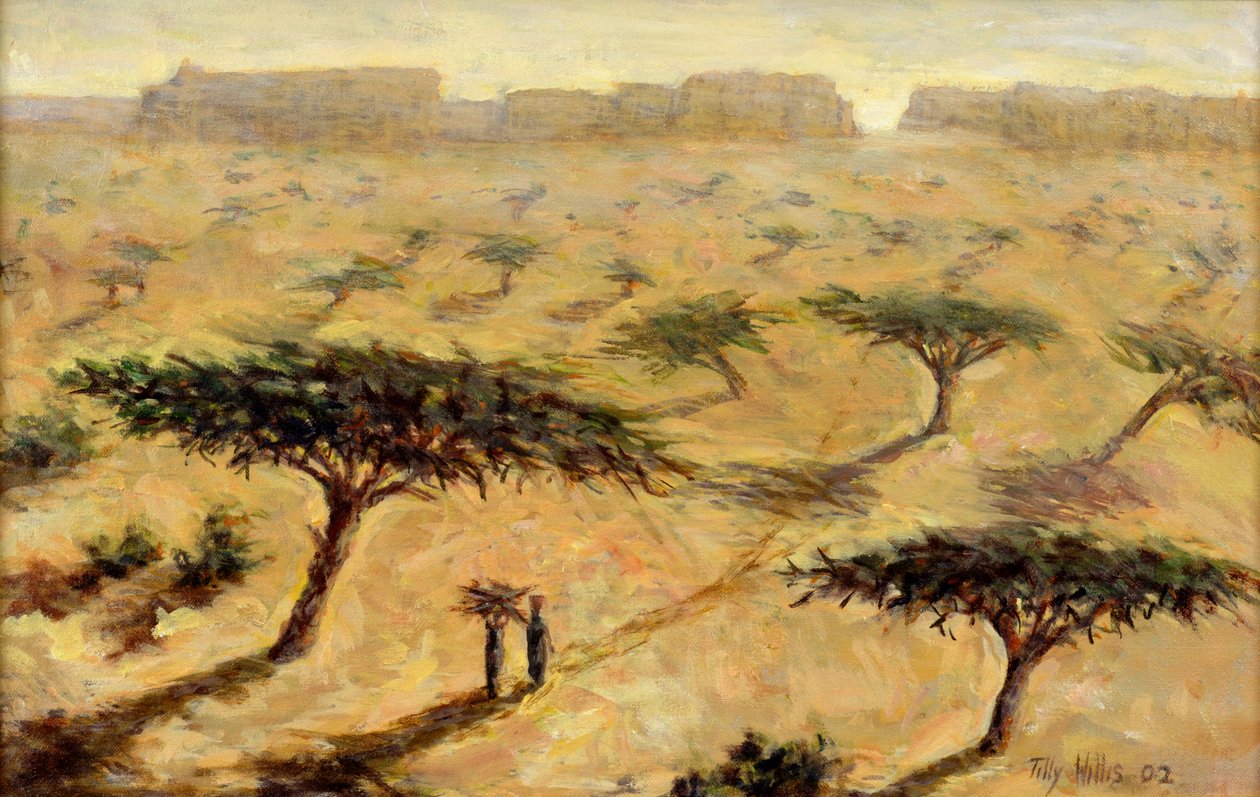 Paesaggio saheliano, 2002 da Tilly Willis