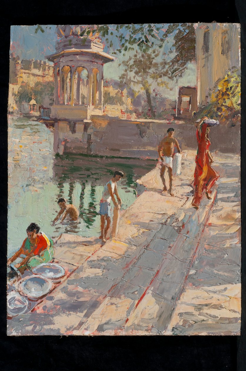 Bagno nel tempio di Udaipur da Tim Scott Bolton