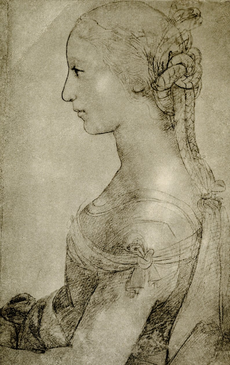 Profilo di ragazza da Timoteo Viti