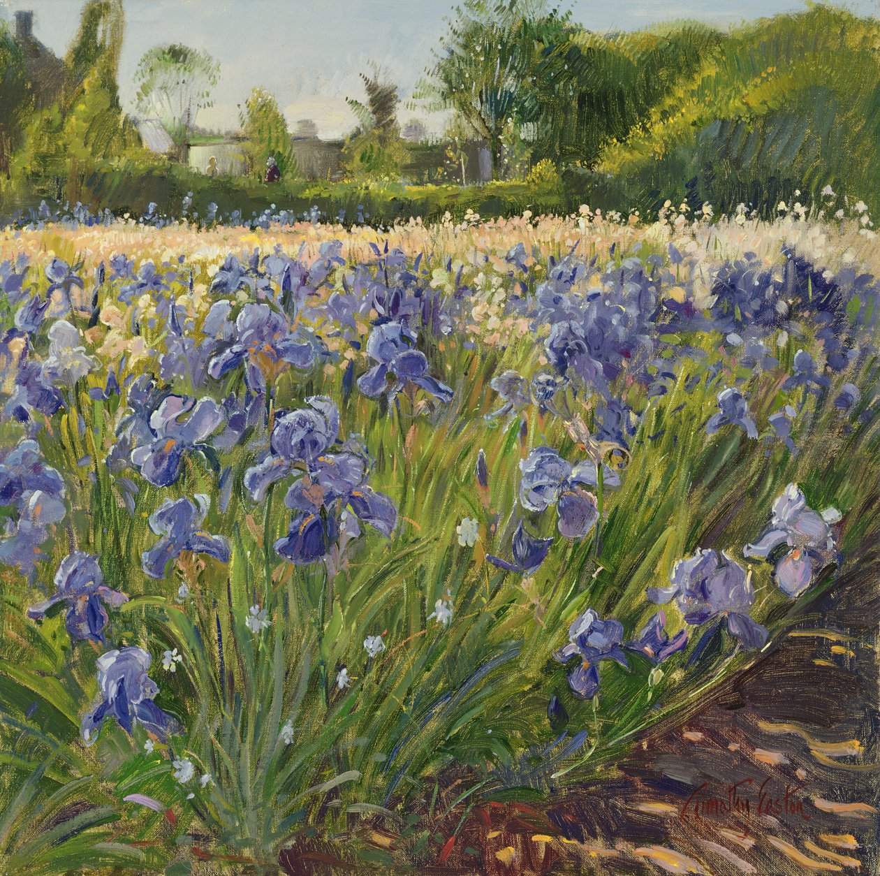 Sopra gli iris blu da Timothy Easton