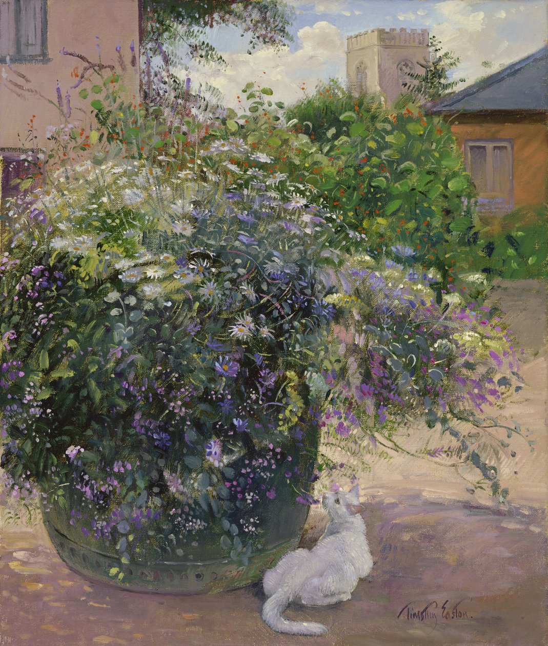 Osservazione delle api da Timothy Easton