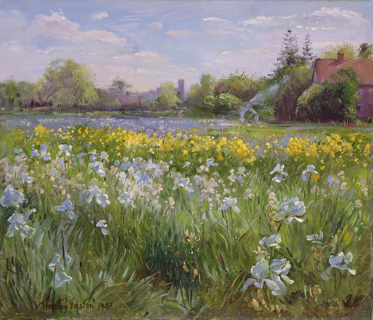 Falò e campo di iris, 1993 da Timothy Easton