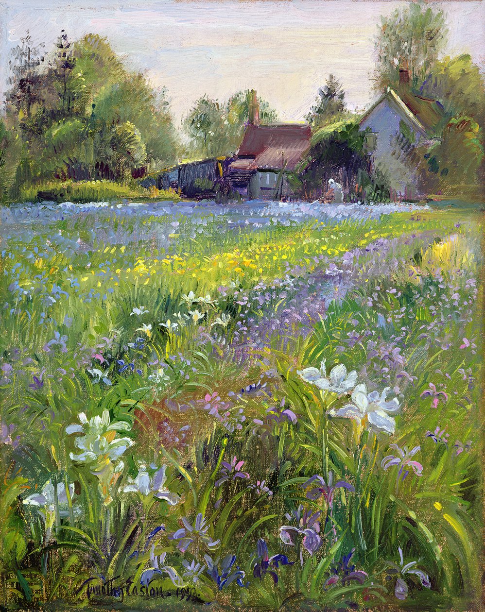 Iris nani e cottage, 1993 da Timothy Easton