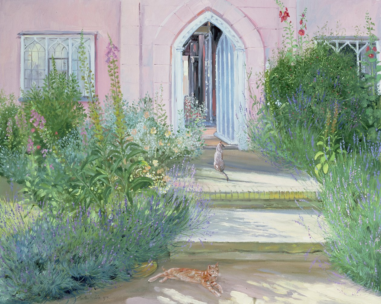 Ombre serali da Timothy Easton