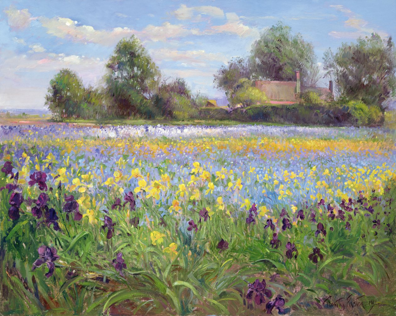Fattoria e campo di iris, 1992 da Timothy Easton