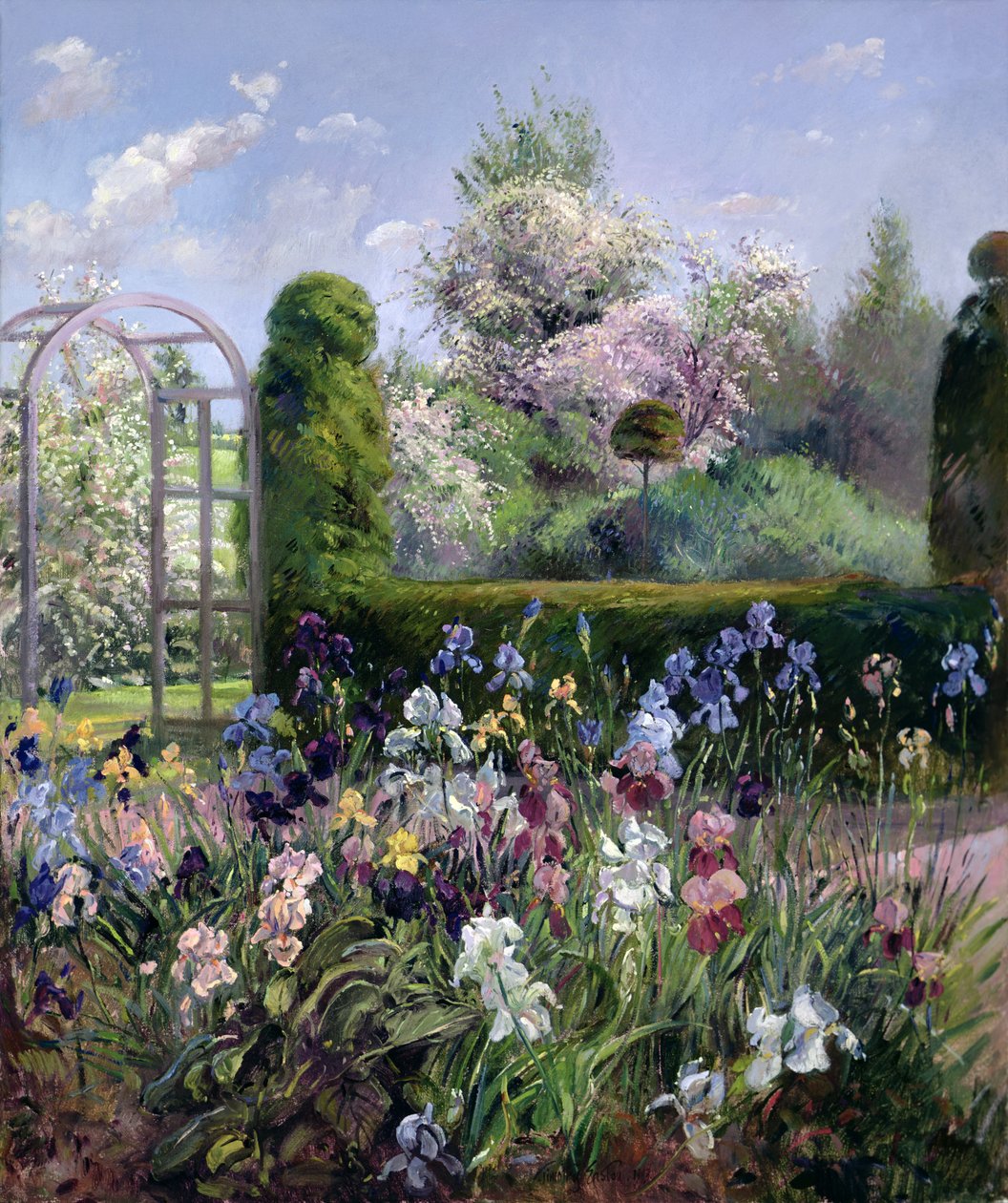 Iris nei giardini formali, 1993 da Timothy Easton