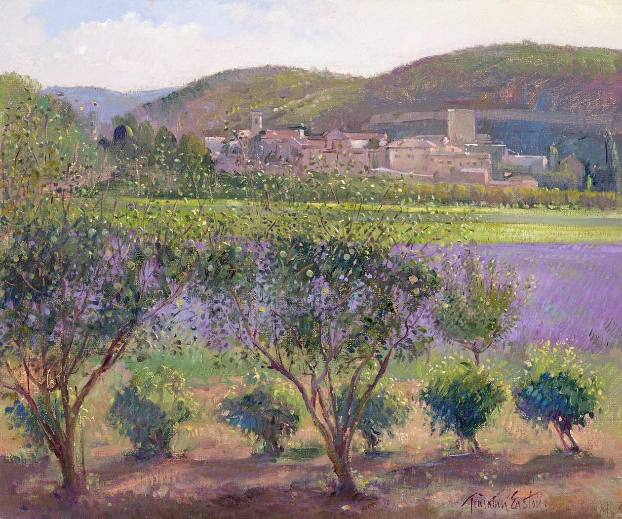 Lavanda vista attraverso alberi di cotogno, Monclus da Timothy Easton