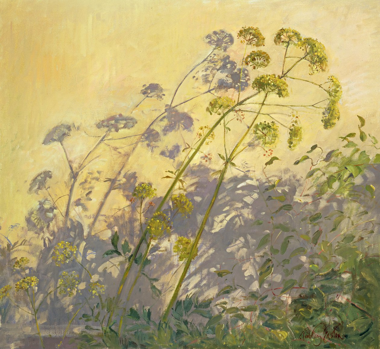 Levistico, Clematide e Ombre, 1999 da Timothy Easton