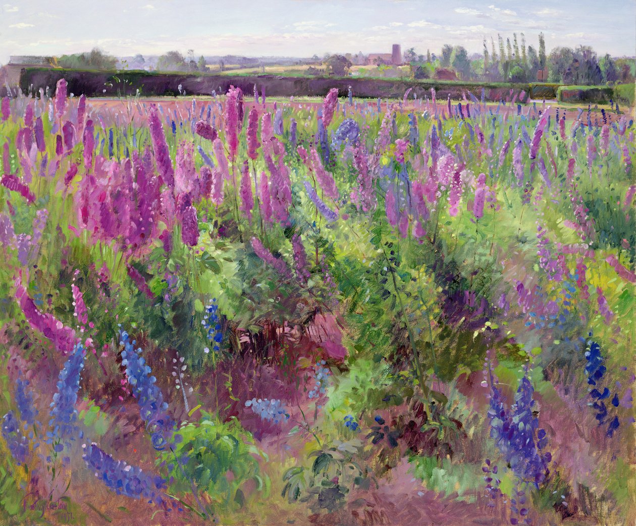 Il campo di delphinium, 1991 da Timothy Easton