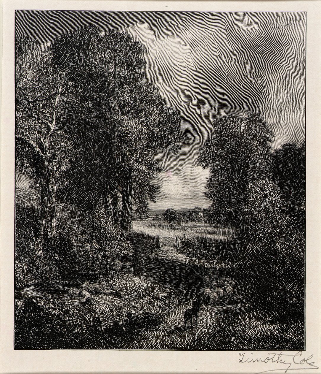 Campo di grano da Timothy Cole