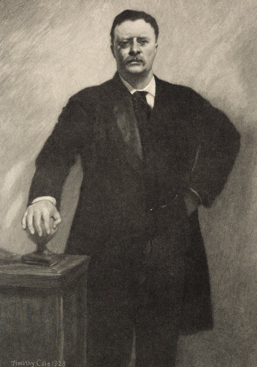 Theodore Roosevelt, 1928 da Timothy Cole