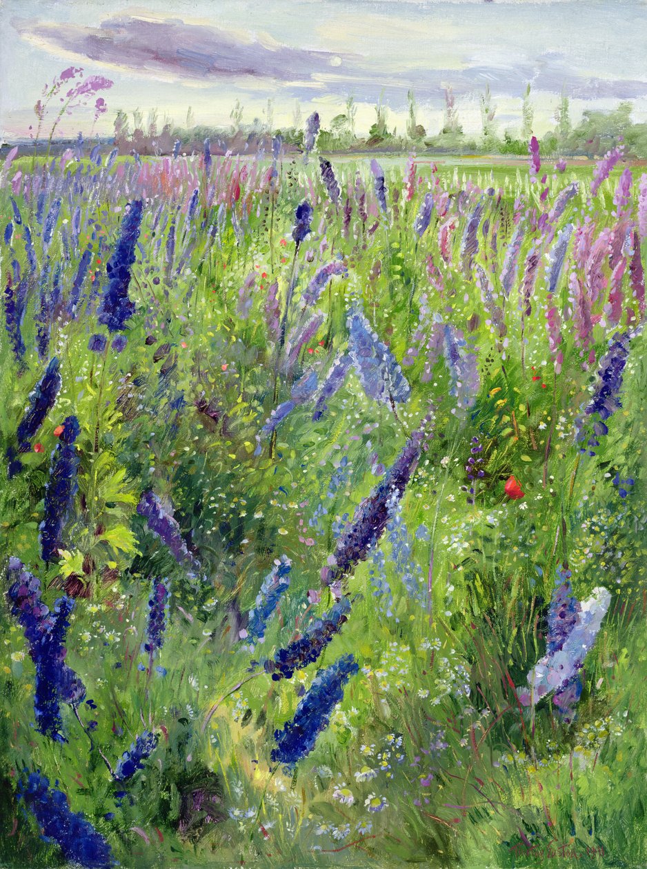 Delphinium e sole nascente da Timothy Easton