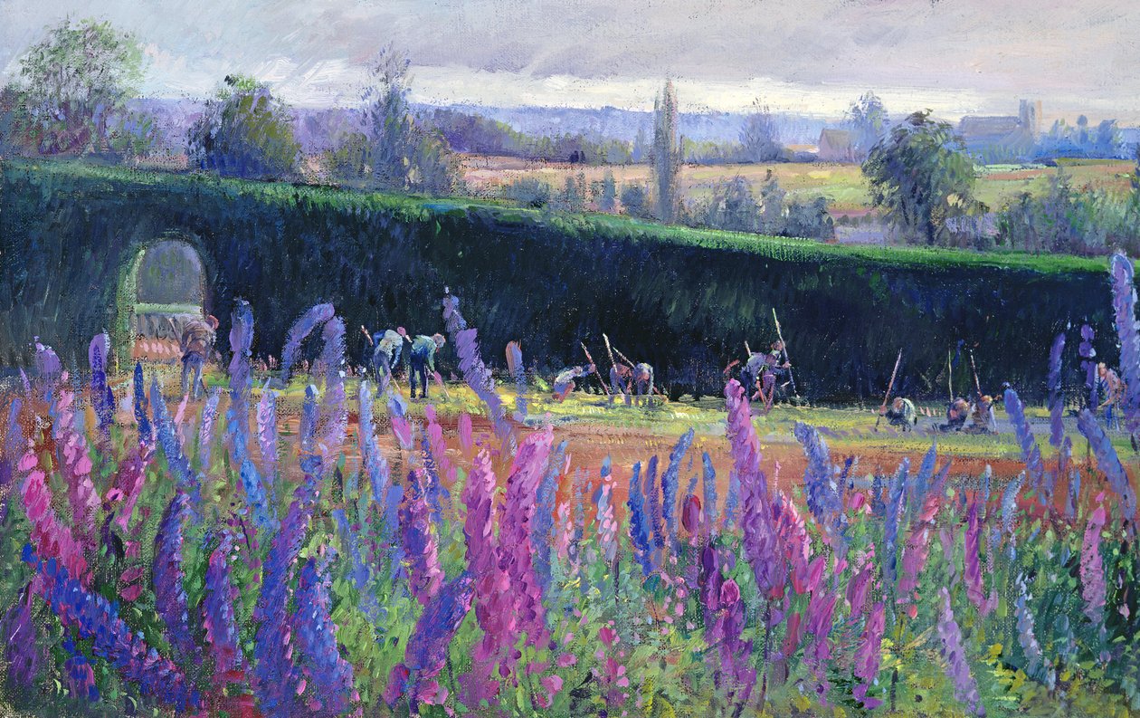Zappare contro la siepe, 1991 da Timothy Easton
