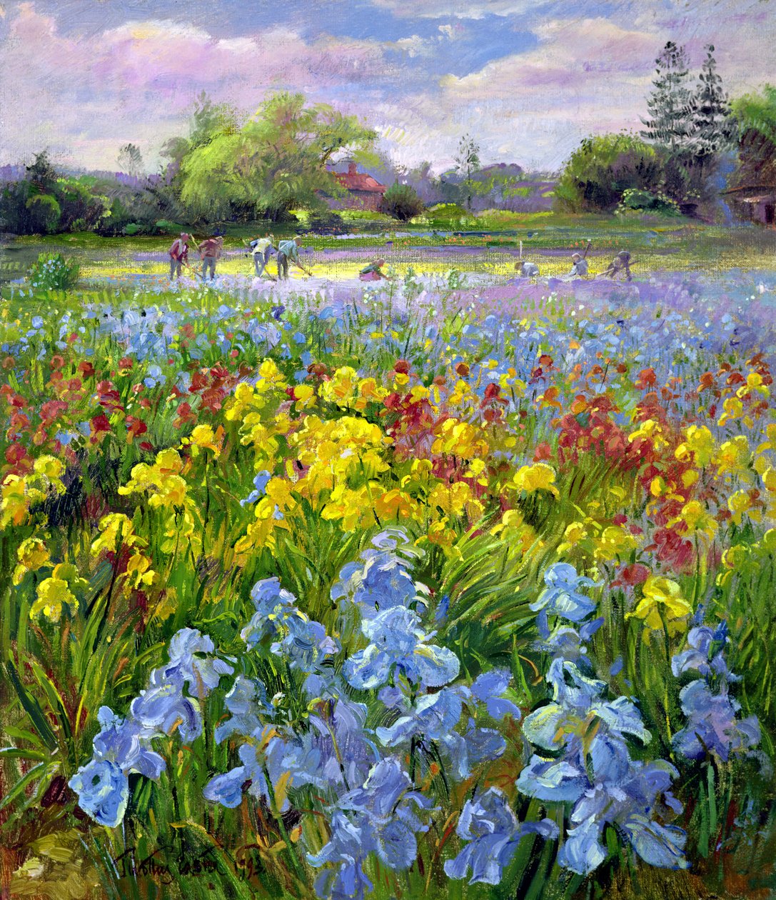 Squadra di Zappatori e Campi di Iris da Timothy Easton