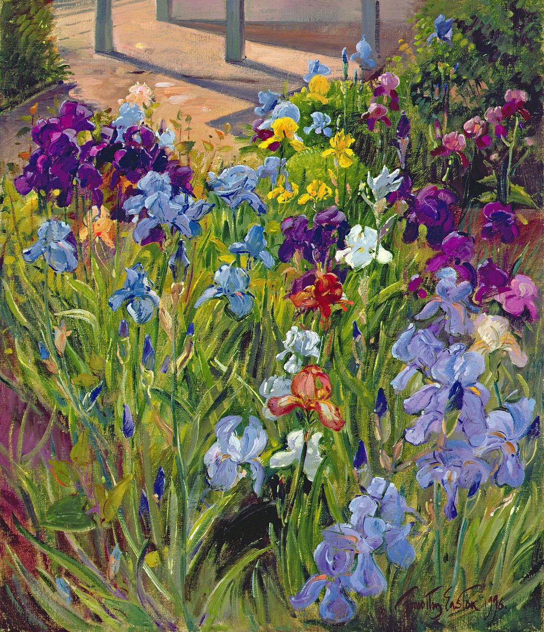 Iris e Ombre della Casa Estiva, 1996 da Timothy Easton