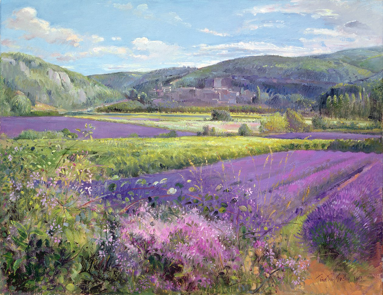Campi di lavanda nella vecchia Provenza da Timothy Easton