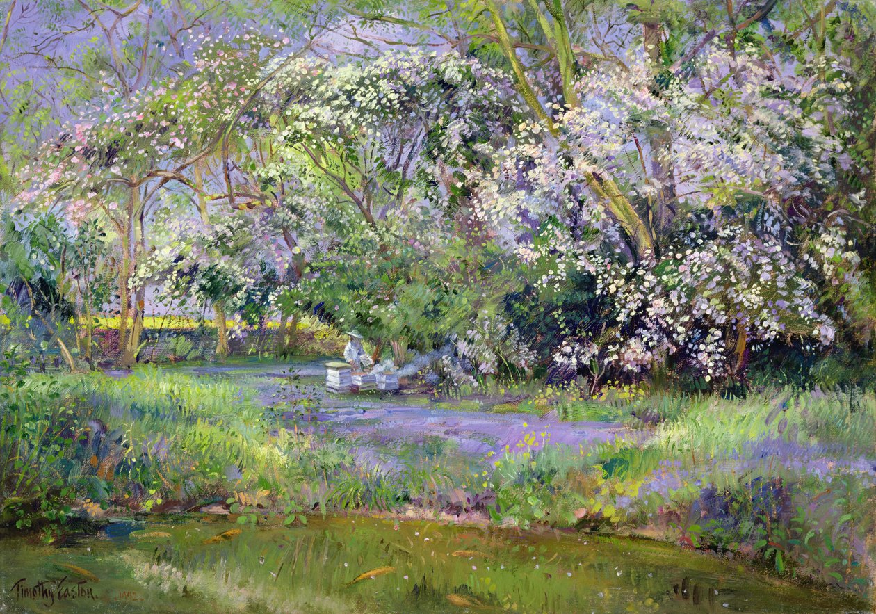 Alveari nel bosco da Timothy Easton