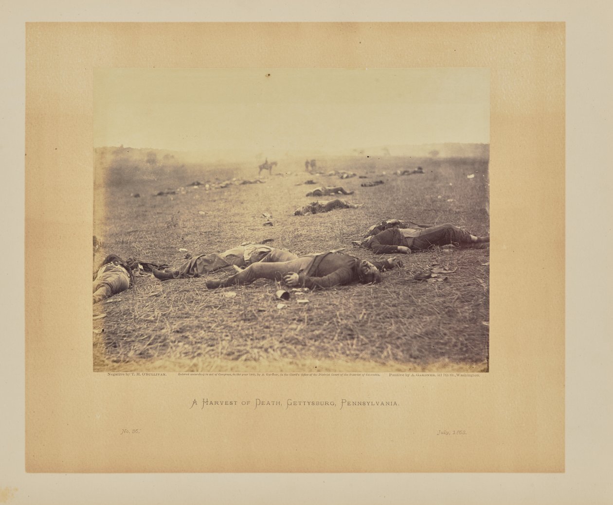 Un raccolto di morte, Gettysburg, Pennsylvania da Timothy H. OSullivan