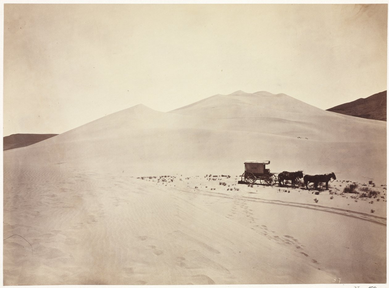 Dune di sabbia, deserto di Carson, Nevada da Timothy H. O