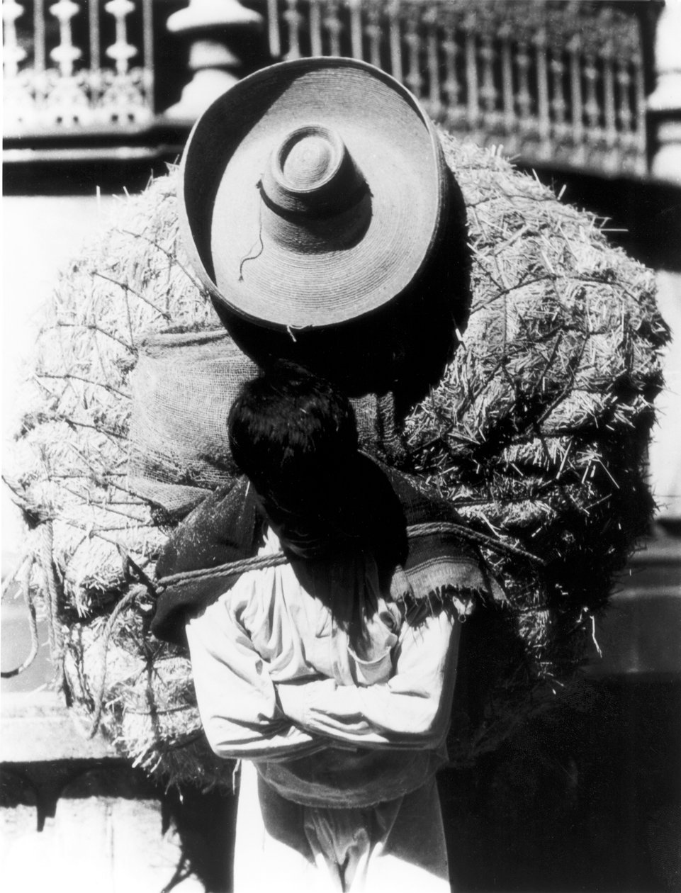 Campesino, Stato di Veracruz, Messico, 1927 da Tina Modotti