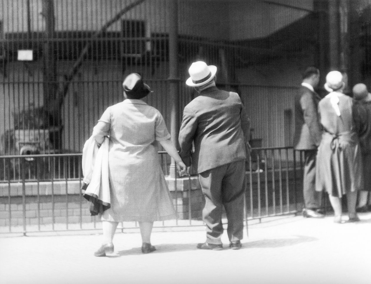 Nel Giardino Zoologico, Berlino, Germania da Tina Modotti